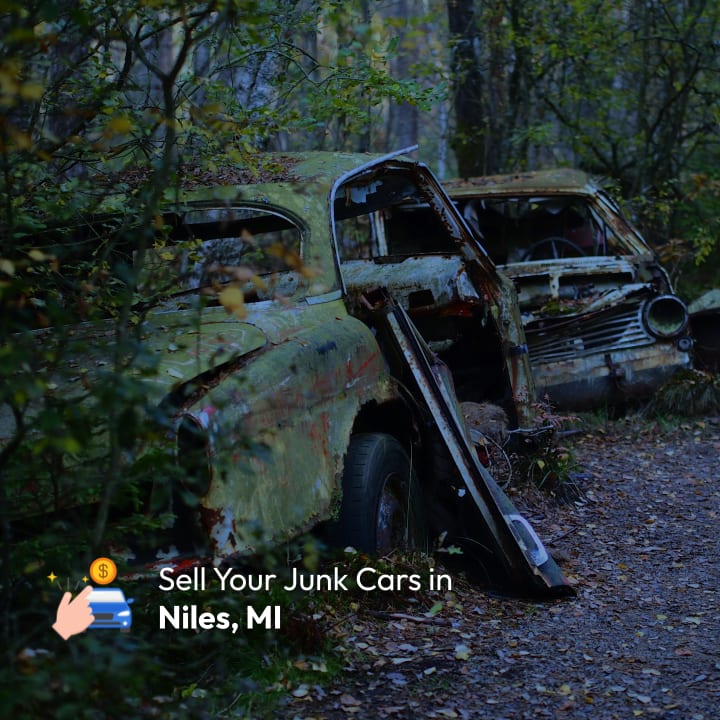 Sell Your Junk Car in Niles